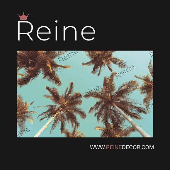 Coconut Palm Trees Wallpaper - Picture 5 of 9